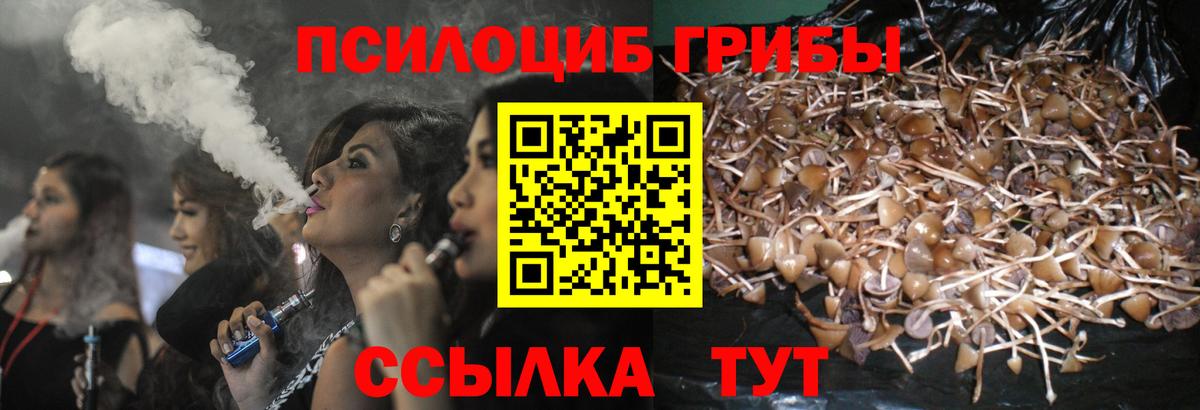 Псилоцибиновые грибы ЛСД Керчь